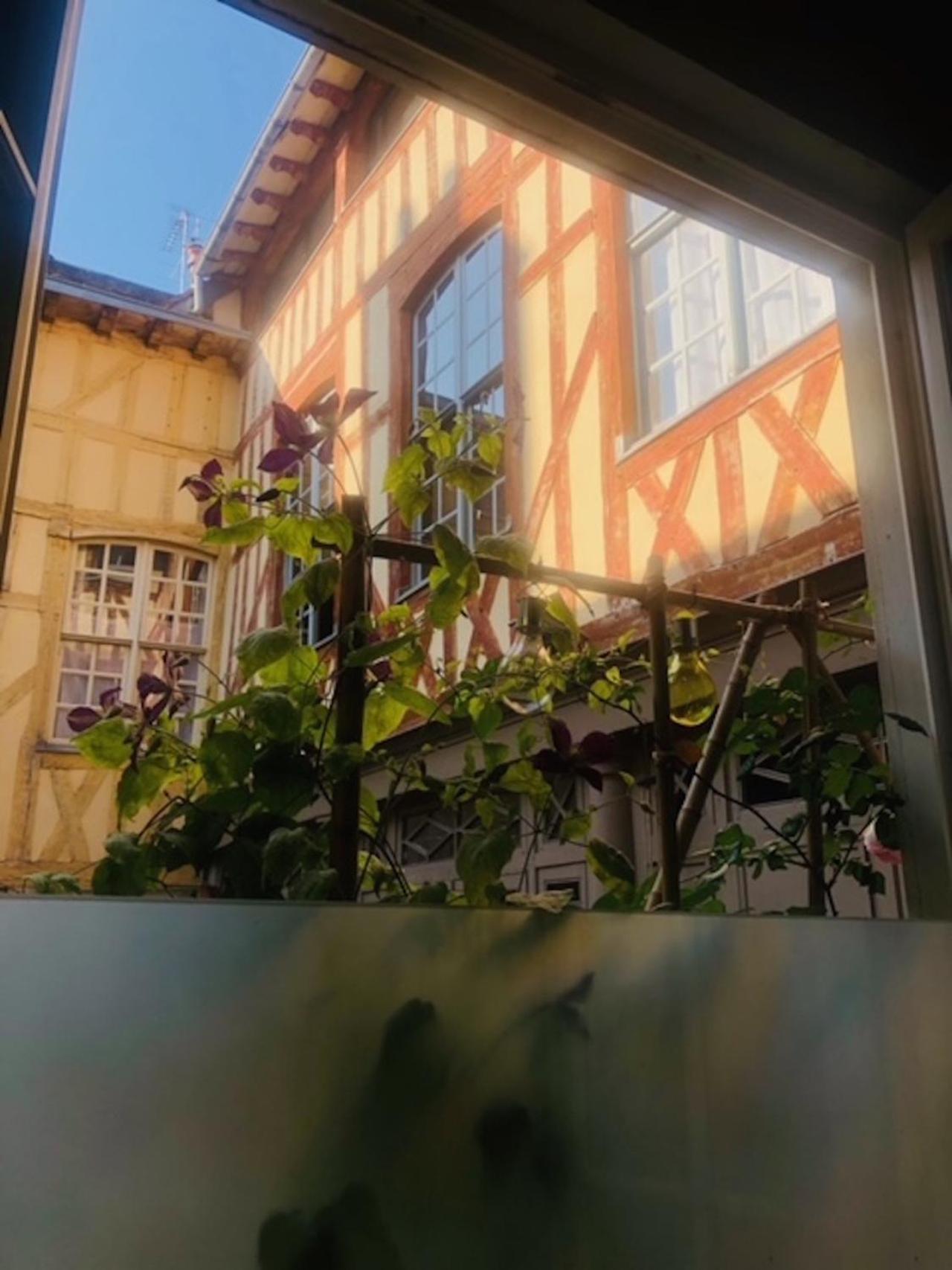 Atelier Des Glycines, Troyes Bouchon De Champagne, Sublime Site Patrimonial 아파트 외부 사진