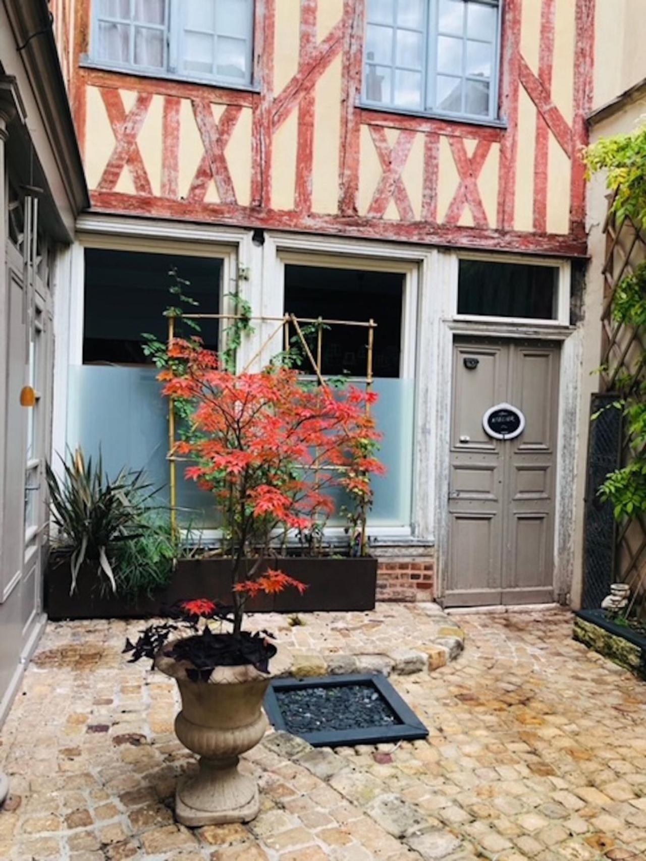 Atelier Des Glycines, Troyes Bouchon De Champagne, Sublime Site Patrimonial 아파트 외부 사진